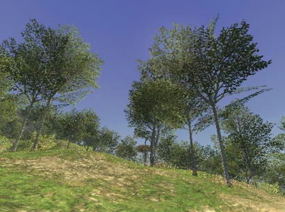f13bf39c.JPG