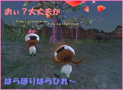 b2195063.jpeg