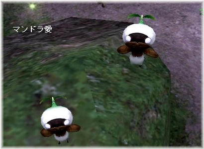 2149b768.jpeg