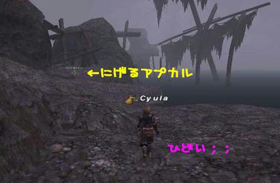 cf2acdaa.jpg