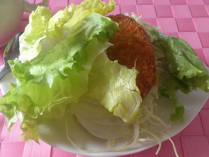 CameraZOOM-20130423131821374.jpg