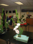 IMG_0682.jpg