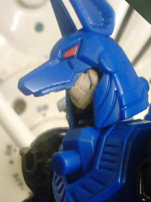 fe5f7208.jpg
