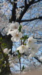 20090406140434.jpg