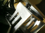 P1000001.JPG