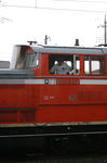 resize0456.jpg