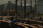 _DSG5447.jpg