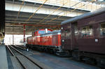 DSC_4717.jpg