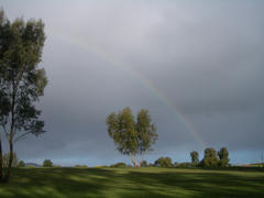IMGP0094.JPG