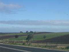 IMGP0099.JPG