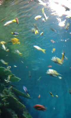 PA0_0027.JPG