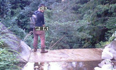 mta_on_dam.JPG