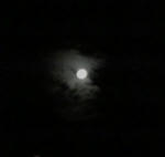 七夕の月