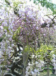 Image015.jpg