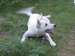 d0f16469.jpg