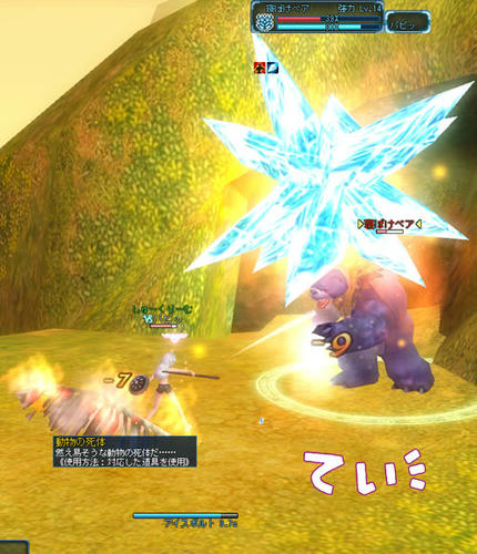 12_kuma.jpg