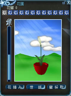 hana_4.jpg