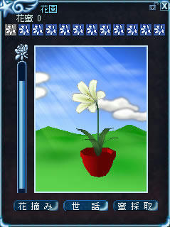 hana_5.jpg