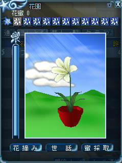 hana_6.jpg