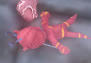 1110-233933.jpg