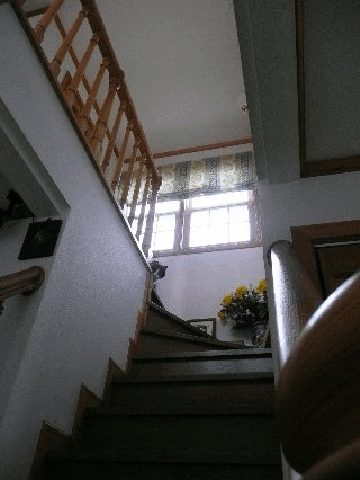 37be3fc5.gif