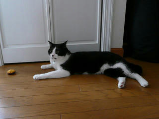 P1100505s.jpg