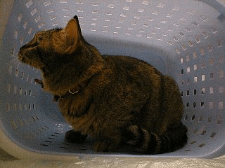 9e39a663.gif