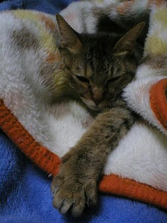 s-P5020023.jpg