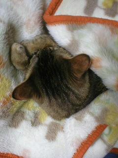 s-P5020039.jpg