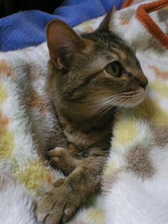 s-P5030066.jpg