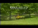 996f31ad.jpg