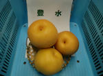 Pear01.JPG