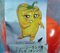 090306.02.jpg