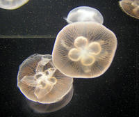 090504.03.jpg