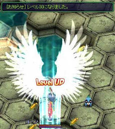 xesc255.jpg