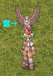 rosc37.jpg