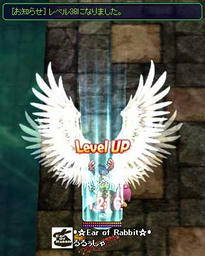 xesc411.jpg