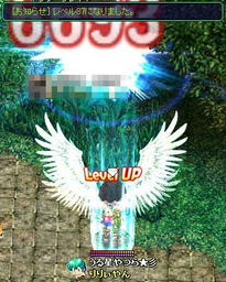 xesc479.jpg