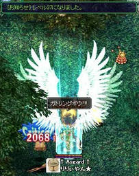 xesc497.jpg