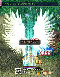 xesc528.jpg