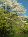DSCF9570.JPG