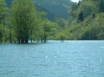 DSCF9551.JPG