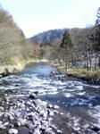 080325_1504.jpg