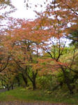 091020_1302.jpg