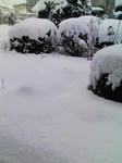 100105_0820~01.jpg