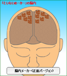 体内メーカー脳内メーカー(正面)