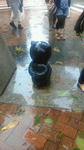 NEC_0028.JPG