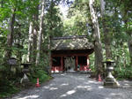 DSC00096.JPG