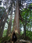 DSC00106.JPG