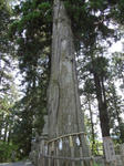 DSC00198.JPG